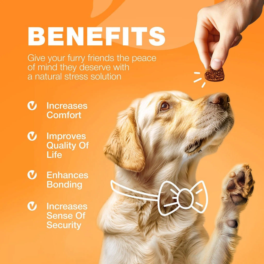 Allergy & Itch Relief Chews for Dogs