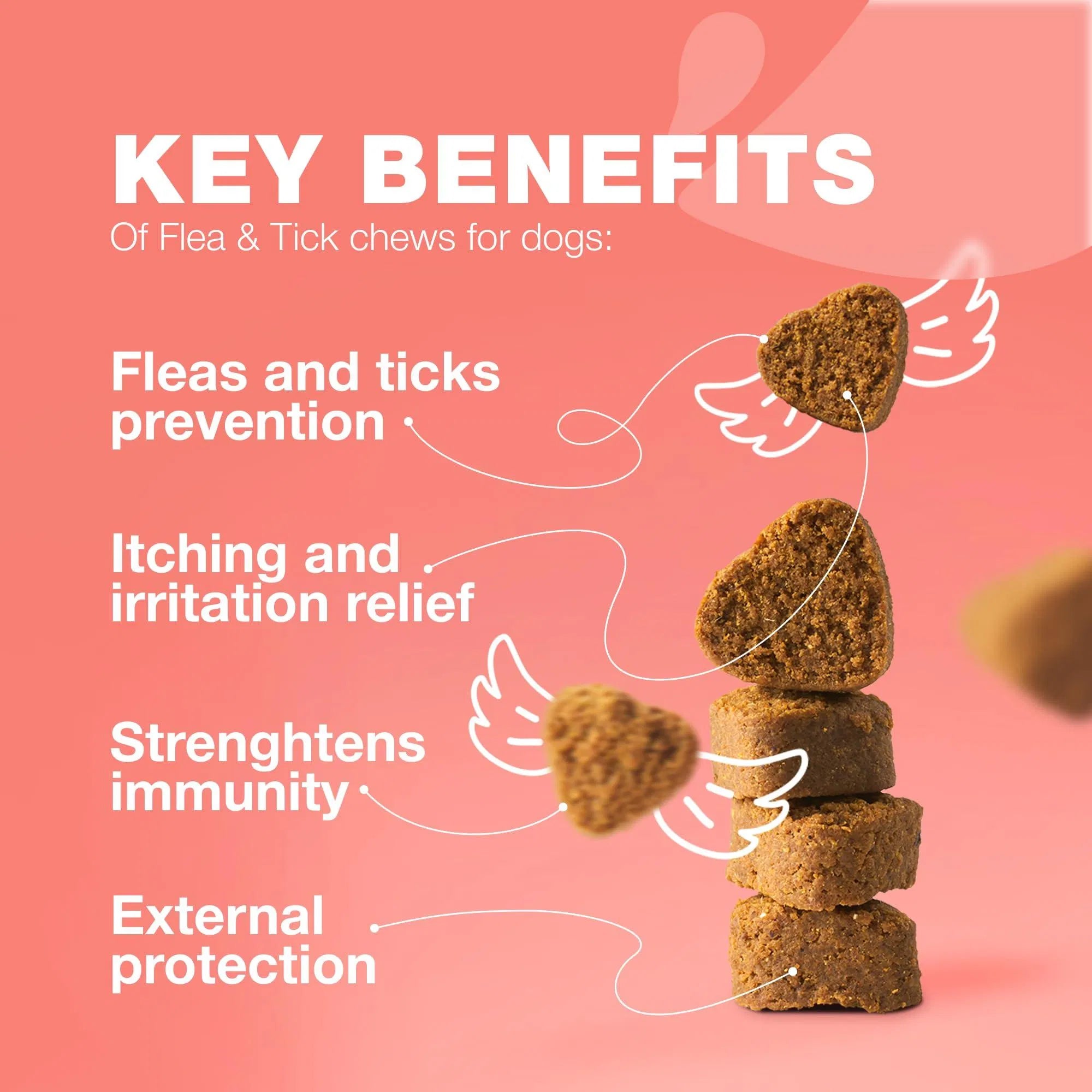 Flea & Tick Prevention Chews for Dogs