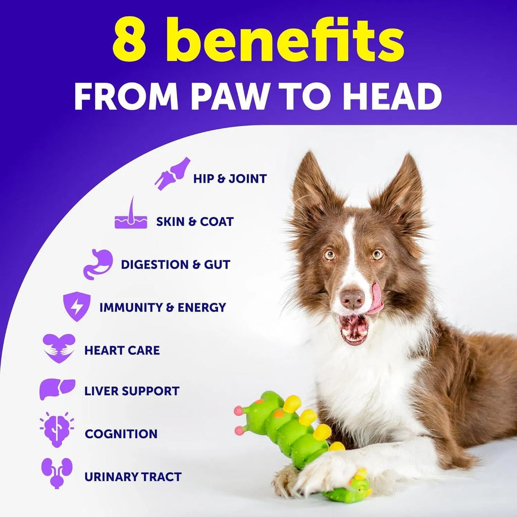 Multivitamin Chews for Dogs – Daily Health & Joint Support