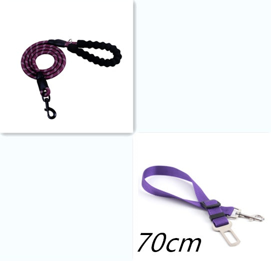 Urban Reflect Leash