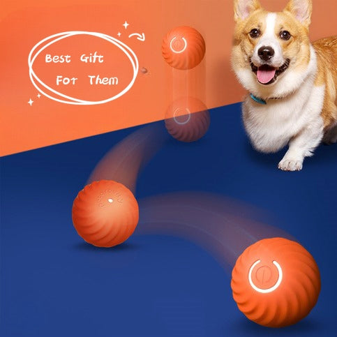 Urban Interactive Dog Ball