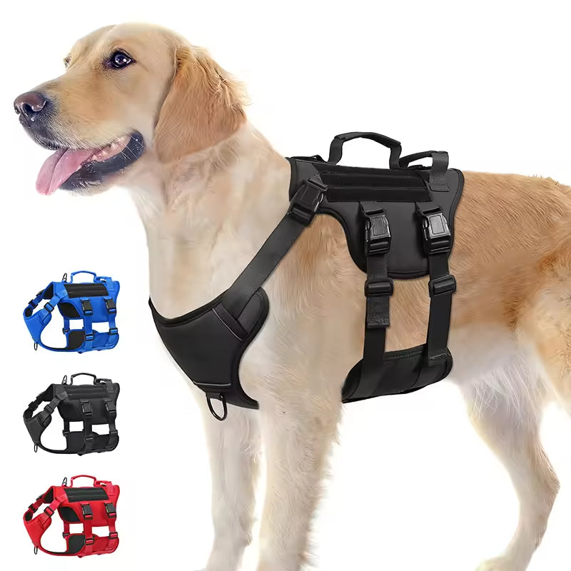 Urban Control Harness