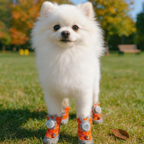 NightPaw LED Boots (4-Pack)