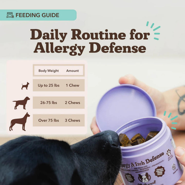 Dog Allergy & Itch Relief Chews – Immune Support & Skin Health (90 Soft Chews)