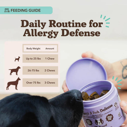 Dog Allergy & Itch Relief Chews – Immune Support & Skin Health (90 Soft Chews)