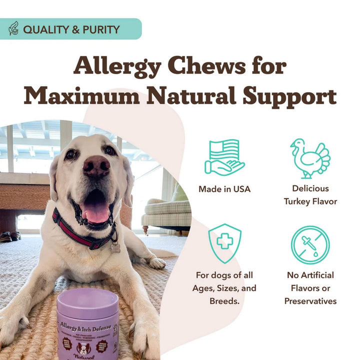 Dog Allergy & Itch Relief Chews – Immune Support & Skin Health (90 Soft Chews)