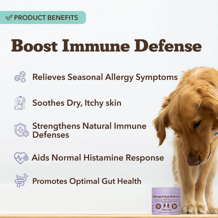 Dog Allergy & Itch Relief Chews – Immune Support & Skin Health (90 Soft Chews)