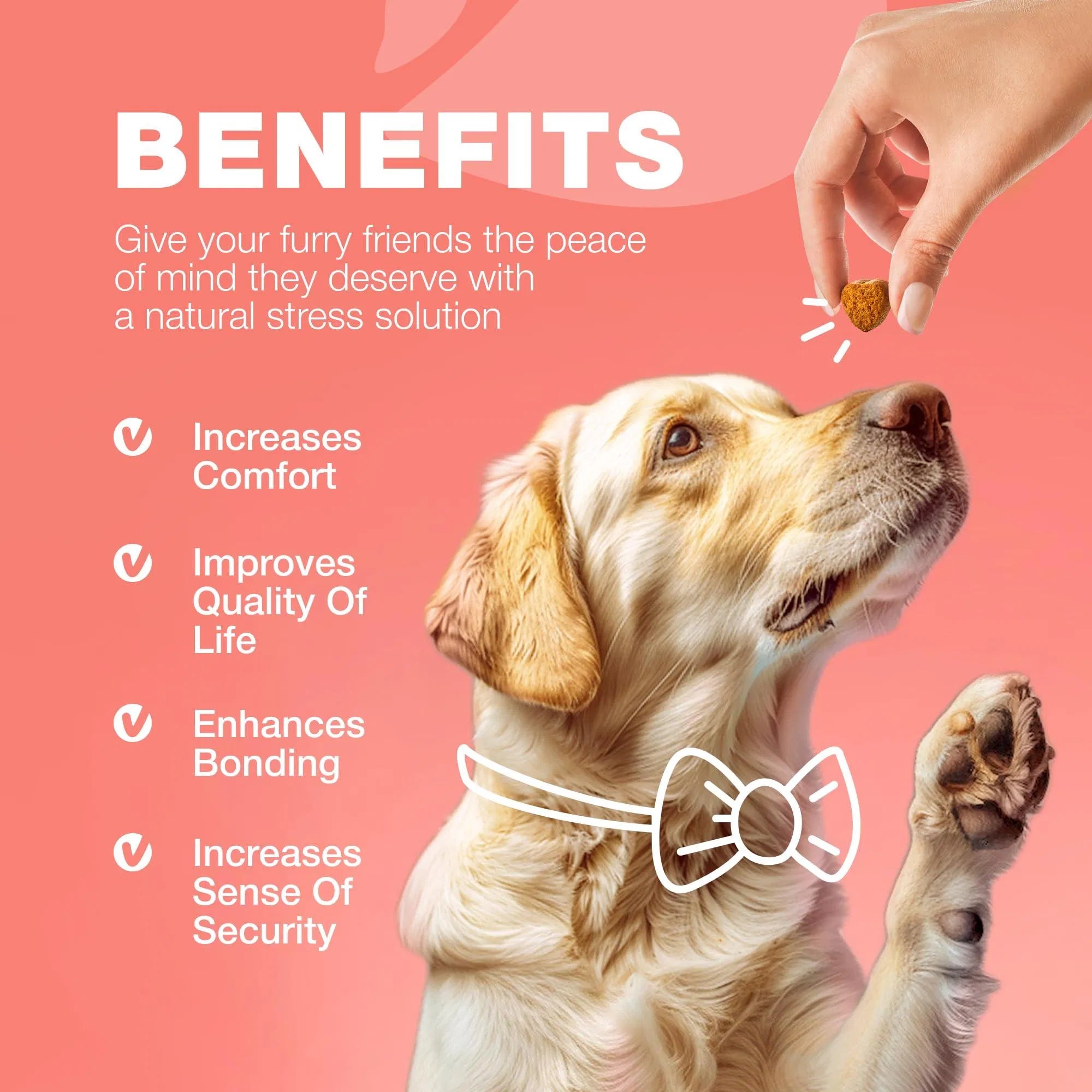 Flea & Tick Prevention Chews for Dogs