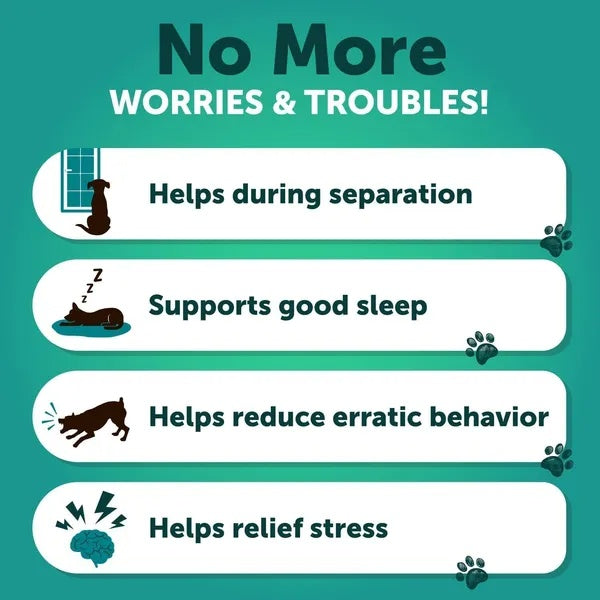 Calming Hemp Chews for Dogs – Anxiety & Stress Relief