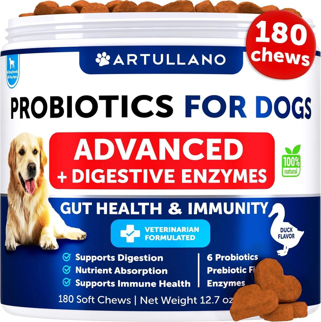 Probiotic Chews for Dogs – Gut Health & Digestive Support
