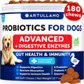 Probiotic Chews for Dogs – Gut Health & Digestive Support